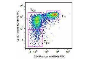 Flow Cytometry (FACS) image for Human Naive/Memory T cell ID Panel, Mouse IgG1/Mouse IgG1/Mouse IgG2b/Mouse IgG2a (ABIN2669194) (人 Naive/Memory T cell ID Panel, 小鼠 IgG1/小鼠 IgG1/小鼠 IgG2b/小鼠 IgG2a)