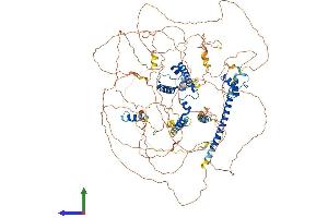 AlphaFold protein structure predicition of Human Recombinant MRTFB Protein, UniprotID Q9ULH7