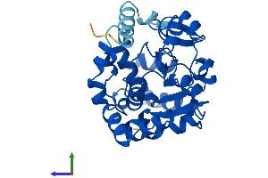 Protein Structure (PS) image for Sulfotransferase Family, Cytosolic, 6B, Member 1 (SULT6B1) (AA 1-303) protein (His tag) (ABIN7546449)