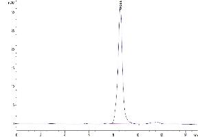Size-exclusion chromatography-High Pressure Liquid Chromatography (SEC-HPLC) image for Secreted Protein, Acidic, Cysteine-Rich (Osteonectin) (SPARC) (AA 18-303) protein (His tag) (ABIN7275640)