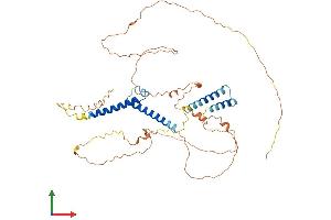 Protein Structure (PS) image for Basic Helix-Loop-Helix Family, Member E41 (BHLHE41) (AA 1-482) protein (His tag) (ABIN7552637)