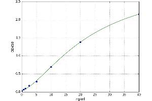 A typical standard curve (EPH Receptor B2 ELISA 试剂盒)
