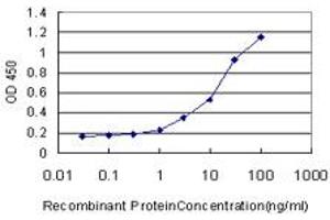 Detection limit for recombinant GST tagged GDF11 is approximately 0. (GDF11 抗体  (AA 310-407))