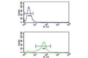 H4 antibody flow cytometric analysis of NCI-H460 cells (bottom histogram) compared to a negative control (top histogram). (HIST1H4A 抗体  (meLys20))
