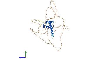 AlphaFold protein structure predicition of Human Recombinant HOXD13 Protein, UniprotID P35453