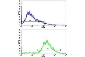 Flow cytometric analysis of Jurkat cells using VIP antibody (green) compared to a negative control (blue). (Vip 抗体  (AA 139-167))