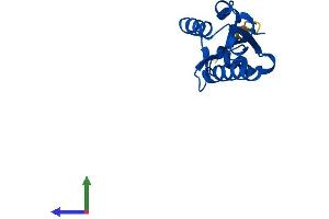 Protein Structure (PS) image for Peptidyl-tRNA Hydrolase Domain Containing 1 (PTRHD1) (AA 1-140) protein (His tag) (ABIN7551074)