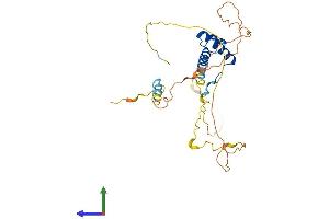 Protein Structure (PS) image for NK2 Homeobox 6 (NKX2-6) (AA 1-289) protein (His tag) (ABIN7563267)