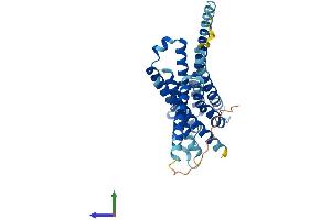 Protein Structure (PS) image for G Protein-Coupled Receptor 119 (GPR119) (AA 1-335) protein (His tag) (ABIN7548093)