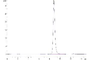 Size-exclusion chromatography-High Pressure Liquid Chromatography (SEC-HPLC) image for V-Set Domain Containing T Cell Activation Inhibitor 1 (VTCN1) (AA 33-194) protein (Fc Tag) (ABIN7273974)