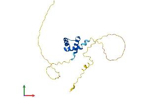 Protein Structure (PS) image for TGFB-Induced Factor Homeobox 2-Like, Y-Linked (TGIF2LY) (AA 1-185) protein (His tag) (ABIN7544309)