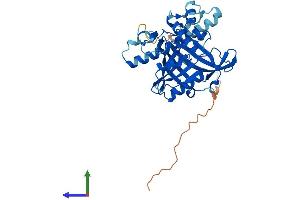 Protein Structure (PS) image for Brix Domain Containing 5 (RPF1) (AA 1-349) protein (His tag) (ABIN7558230)