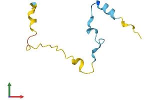 Protein Structure (PS) image for Calcium/calmodulin-Dependent Protein Kinase II Inhibitor 2 (CAMK2N2) (AA 1-79) protein (Fc Tag) (ABIN7546607)
