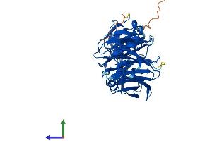 AlphaFold protein structure predicition of Human Recombinant WDFY1 Protein, UniprotID Q8IWB7