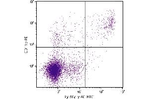 BALB/c mouse splenocytes were stained with Rat Anti-Mouse CD11b-PE. (CD11b 抗体  (PE))