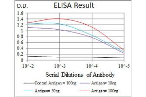 ELISA image for anti-Neurofilament, Heavy Polypeptide (NEFH) (AA 968-1020) antibody (ABIN1844517)