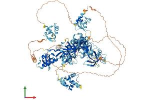 Protein Structure (PS) image for Tudor Domain Containing 7 (TDRD7) (AA 1-1086) protein (His tag) (ABIN7564622)
