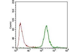 Flow cytometric analysis of NTERA-2 cells using CA9 mouse mAb (green) and negative control (red). (CA9 抗体  (AA 37-186))