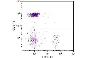 Chicken peripheral blood lymphocytes were stained with Mouse Anti-Chicken CD8α-FITC. (CD8 alpha 抗体  (FITC))