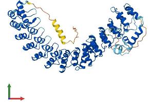 Protein Structure (PS) image for Ankyrin Repeat and SOCS Box Containing 15 (ASB15) (AA 1-583) protein (His tag) (ABIN7559934)