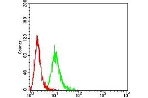 Flow cytometric analysis of Hela cells using POLR2A mouse mAb (green) and negative control (red). (POLR2A/RPB1 抗体  (AA 128-258))
