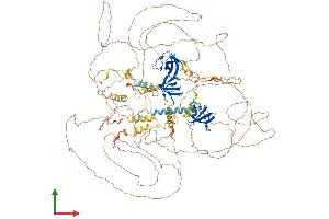 Protein Structure (PS) image for Sorbin and SH3 Domain Containing 2 (Sorbs2) (AA 1-1180) protein (His tag) (ABIN7563753)