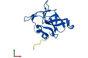 Protein Structure (PS) image for Ribosomal Protein L23 (RPL23) (AA 1-140) protein (His tag) (ABIN7551431)