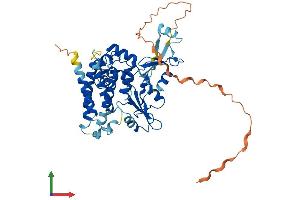 AlphaFold protein structure predicition of Human Recombinant CBLC Protein, UniprotID Q9ULV8 (CBLC Protein (AA 1-474) (His tag))