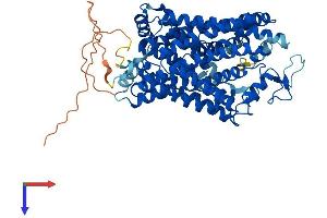 AlphaFold protein structure predicition of Mouse Recombinant Slc6a1 Protein, UniprotID P31648