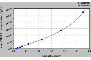 Typical Standard Curve (YWHAB ELISA 试剂盒)