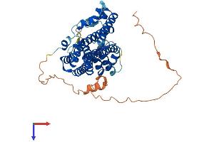Protein Structure (PS) image for Prenyl (Decaprenyl) Diphosphate Synthase, Subunit 1 (PDSS1) (AA 1-415) protein (His tag) (ABIN7547128)