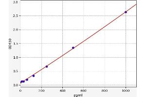 Typical standard curve (AKAP12 ELISA 试剂盒)