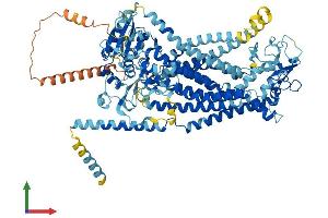 Protein Structure (PS) image for Anoctamin 5 (ANO5) (AA 1-913) protein (His tag) (ABIN7552221)