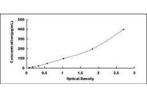 Resistin Like beta (RETNLB) ELISA Kit
