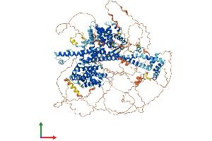 Protein Structure (PS) image for GTPase Activating Protein and VPS9 Domains 1 (GAPVD1) (AA 1-1458) protein (His tag) (ABIN7564108)