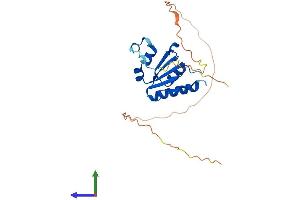 Protein Structure (PS) image for Chromosome 7 Open Reading Frame 30 (C7orf30) (AA 1-228) protein (His tag) (ABIN7560688)