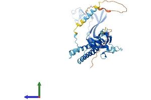 AlphaFold protein structure predicition of Human Recombinant P2RX6 Protein, UniprotID O15547