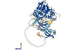 Protein Structure (PS) image for Discs, Large Homolog 4 (Drosophila) (DLG4) (AA 1-724) protein (His tag) (ABIN7563943)