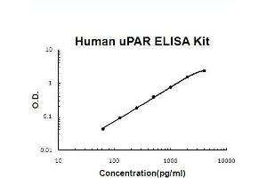 Human uPAR PicoKine ELISA Kit standard curve (PLAUR ELISA 试剂盒)