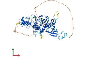 Protein Structure (PS) image for Ubiquitin Specific Peptidase 39 (USP39) (AA 1-565) protein (His tag) (ABIN7546217)