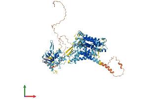 Protein Structure (PS) image for Solute Carrier Family 4, Sodium Borate Transporter, Member 11 (SLC4A11) (AA 1-862) protein (His tag) (ABIN7561925)