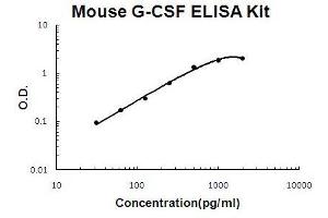 Mouse G-CSF PicoKine ELISA Kit standard curve (G-CSF ELISA 试剂盒)