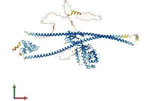Protein Structure (PS) image for Caspase Recruitment Domain Family, Member 14 (CARD14) (AA 1-999) protein (His tag) (ABIN7564886)