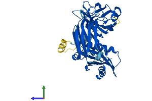 Protein Structure (PS) image for Adaptor-Related Protein Complex 3, mu 1 Subunit (AP3M1) (AA 1-418) protein (His tag) (ABIN7561631)