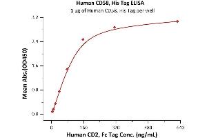 ELISA image for CD58 (CD58) (AA 29-215) protein (His tag) (ABIN2180813)
