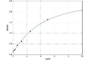 A typical standard curve (CX3CL1 ELISA 试剂盒)