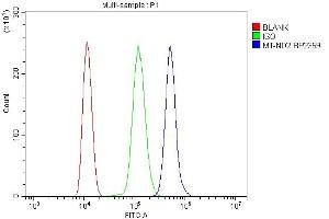 Flow Cytometry analysis of ANA-1 cells using anti-Mtnd2 antibody (ABIN7603114).