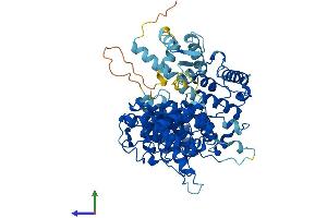 Protein Structure (PS) image for Plastin 3 (PLS3) (AA 1-630) protein (His tag) (ABIN7550743)