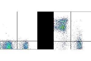 C57Bl/6 splenocytes were stained with 0. (CD24 抗体  (PerCP-Cy5.5))