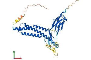 AlphaFold protein structure predicition of Human Recombinant FNDC11 Protein, UniprotID Q9BVV2
